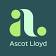 Ascot Lloyd
