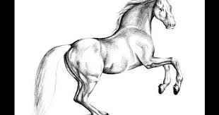 Adim Adim Ressam Olun At Cizimi How To Draw Horse Cizim Atlar Hayvan Anatomisi