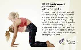 Marjaryasana And Bitilasana Cat Cow Pose Variation From Down Dog Come Onto All Fours With Your Knee Massage Therapy Bhastrika Pranayama Cat Cow Pose