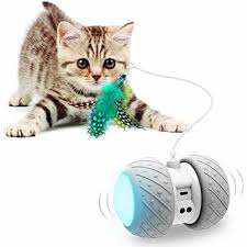 Save 35% with repeat delivery or 25% on curbside pickup at your local petco. 50 Best Gifts For Pets Gifts For Dogs Cats Hamsters And More