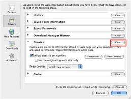 How to remove cookies from my computer (google chrome)? Methods To Erase Cookies On Mac