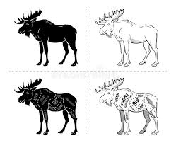 Butcher Diagram Scheme Elk Stock Vector Illustration Of