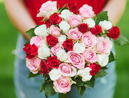 Take a sneak peak at the movies coming out this week (8/12) broadway stars to hollywood stars: International Flower Delivery Send Flowers Abroad Aquarelle