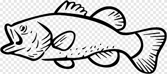 If you like videos like this, be sure to like and subscribe. Bass Fishing Largemouth Bass Fishing White Mammal Png Pngegg