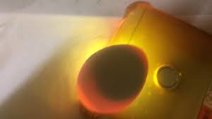 Telur gagal menetas termasuk salah satu hambatan budidaya ayam serama. Telur Tembelang Ayam Serama Youtube