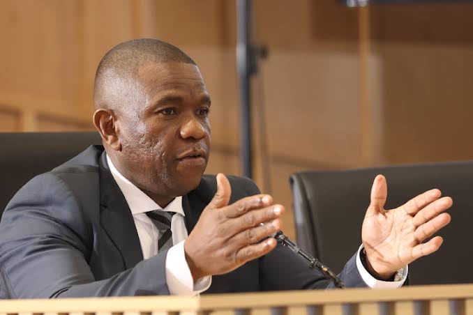 Mkhwanazi to stand before parliamentary committee – Salaamedia