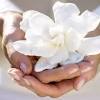 How to send same day flowers online? 1