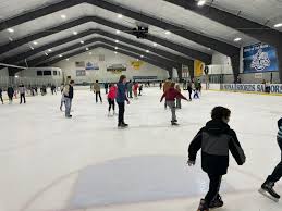 Forest Park Ice Skating, part 2! ⛸