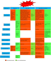 Cyc.) aries the ram, or lamb, coming forth prophecies corresponding in word or type with the figures and the names gen 22:8 exo 4 . Transcriptomic Profiling Provides Molecular Insights Into Hydrogen Peroxide Induced Adventitious Rooting In Mung Bean Seedlings Bmc Genomics Full Text