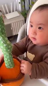 Funny cactus #baby #toys #cutebaby