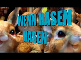 Sie können darauf zugreifen, indem sie den dateispeicher ihres telefons besuchen. Lustige Ostern Videos Zum Lachen Und Whatsapp