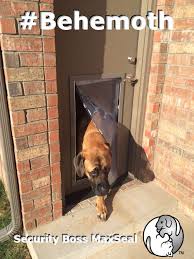 Maxseal in glass pet door. Maxseal Hashtag On Twitter