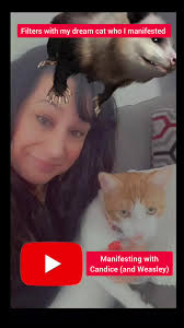 Real Shorts Videos Candice