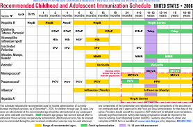 29 Right Doh Immunization Schedule