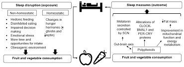 Nutrients Free Full Text Bridging The Reciprocal Gap Between Sleep And Fruit And Vegetable Consumption A Review Of The Evidence Potential Mechanisms Implications And Directions For Future Work Html