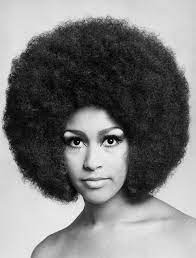 15 Celebrity Women Who Set Hair Trends In The Swingin 60s Afro Hairstyles Vintage Hairstyles Hair Trends