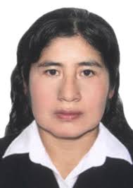 Ingresos de Otorongos Elecciones 2022