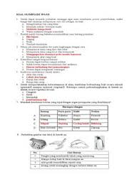 Buku osn olimpiade ipa sd/mi gasing. 21 Ide Yadhy Surya Di 2021 Malaikat Agung Kutipan Bersyukur Paisajes