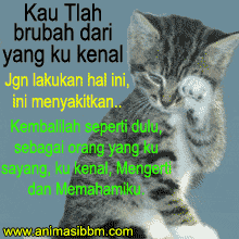 Https Encrypted Tbn0 Gstatic Com Images Q Tbn And9gcskmdgz1klvhfmzctomfqrlfk3icihqc08eng Usqp Cau