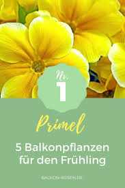 Balkondeko Im Fruhling In 2020 Balkon Pflanzen Pflanzen Balkon Blumen