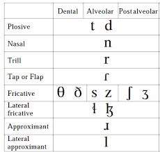 The Ipa Consonants Part I Place Of Articulation