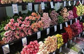 الربح من مشروع زراعة الورد البلدي للتجارة وفتح محل ورد ضمن قسم زراعة أسطح المنازل سنتناول الربح من مشروع زراعة الورد flower market flower cafe million flowers