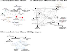 Image result for Lycium pilifolium
