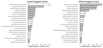 Image result for Uapaca sansibarica