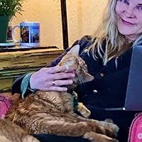 Every Kind of Wanting by Gina Frangello