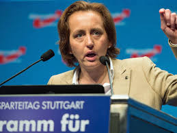 Davor ist auch der generalinspekteur der bundeswehr nicht. Em 2016 Afd Politikerin Beatrix Von Storch Atzt Gegen Dfb Team