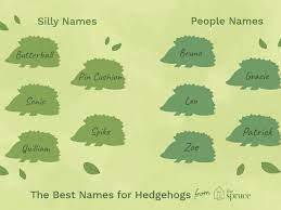 100 Names For Pet Snakes