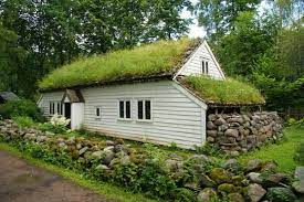 Video i 4k og hd klar til næsten enhver nle nu. Norway House With Green Roof Green Roof House Green Roof System Grass Roof