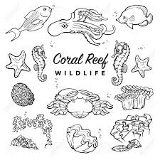 Background Ocean Floor Clipart Black And White Tropical Coral Reef Inhabitants Sea Creatures Drawings With Coral Reef Drawing Sea Creatures Drawing Coral Reef