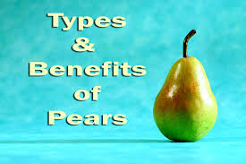 Maybe you would like to learn more about one of these? The Amazing Pear A Diverse And Healthy Fruit Delishably