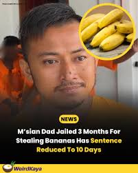 I love languages and linguistics. Today, I decided to look for a new book  to read about the English language. Thankfully, many books are available  online these days. When I saw the