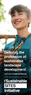 Meet the 2025 Class of the Council of Fellows