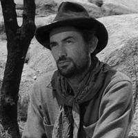 Pdb: The Personality Database