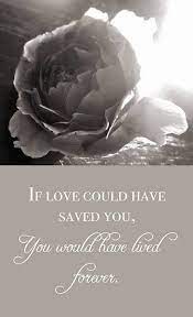 By a little bit of everything apr 26, 2009 category : If Love Could Have Saved You You Would Have Lived Forever Papa Vermissen Gedicht Baby Trauer