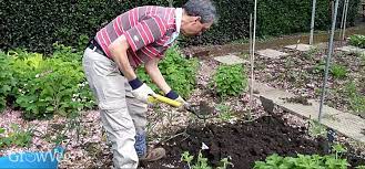 You can purchase compost at your local garden store or use what you have composted at home. Supercharge Your Soil This Spring