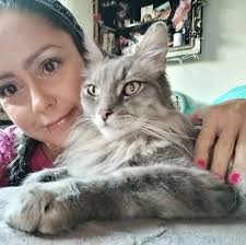 Ronald” feat. Alex Terrible and Tech N9ne now streaming everywhere. Presave  'Popular Monster' out August 16. fallinginreverse.ffm.to/popularmonster