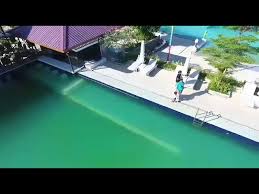 Check spelling or type a new query. Nostalgia Park Kupang Destimap Destinations On Map