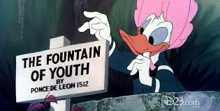 Did you find what you were. Don S Fountain Of Youth Film D23