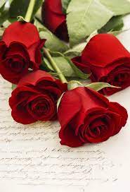 Choosing Best Flowers For Your Love Partner Rose Flower Wallpaper Red Flower Bouquet Red Roses