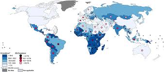 Every minute one woman is diagnosed with cervical cancer which is one of the greatest today to women's health today. Frontiers How The Cervical Microbiota Contributes To Cervical Cancer Risk In Sub Saharan Africa Cellular And Infection Microbiology