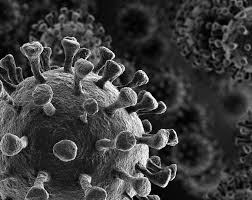 Помимо самого мрнк, вакцина содержит липидную оболочку, которая не дает разрушиться молекуле раньше времени. Interval Mezhdu 2 Dozami Vakciny Protiv Covid 19 Pfizer Biontech I Moderna Mozhet Byt Uvelichen Do