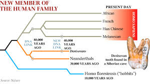 The Dawn Of Homo Sapiens Our Family Tree Grows Messier