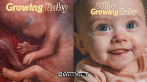 zulma weeks (@zulma_weeks)