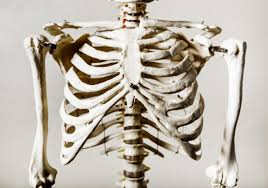 If it is lung related you will also experience some shortness of breath with associated the lungs are spongy (comprised of multiple small sacs known as alveoli) organs located in the chest behind the rib cage. 6 Possible Causes Of Rib Cage Pain