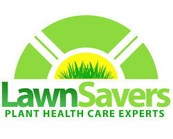 Learn about salaries, benefits, salary satisfaction and where you could earn the most. Lawn Maintenance Services In Brampton Homestars