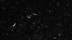 You can also upload and share your favorite black screen wallpapers. Feathers And Organic Dust Fall Stock Footage Video 100 Royalty Free 1023879556 Shutterstock